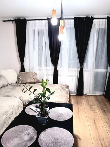 Oasis 2 bed flat to the mountain, Sofia (photo 8)