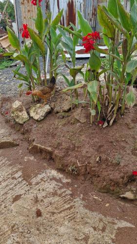 Wendy Kaylian Studio in เปอตี กาเบรียล