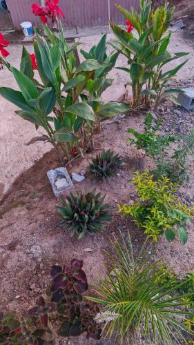 Wendy Kaylian Studio in เปอตี กาเบรียล