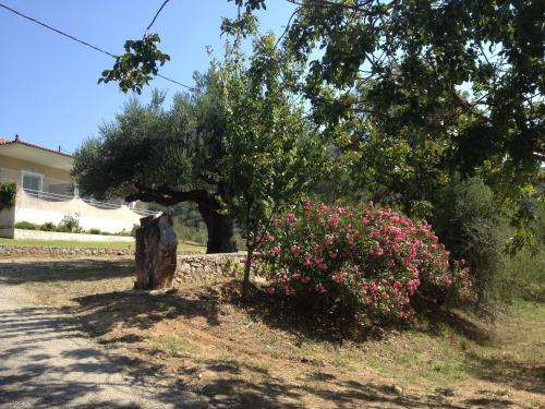 Nefeli Studios Nefeli Studios