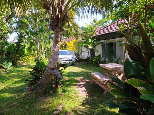 Digital Nomads, Weligama (foto 6)