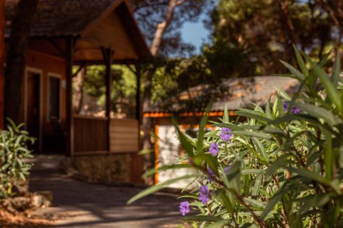 Camping Playa Las Dunas - image 14