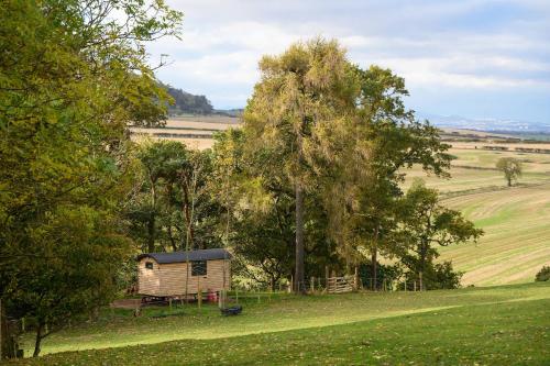 Cosy Shepherds Hut Getaway in East Lothian in Haddington