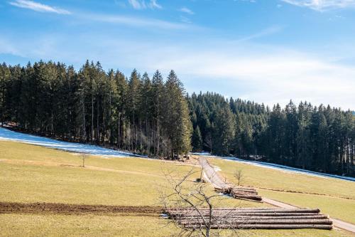 Lorenzenhausle Titisee-Neustadt 4.7km von Laberholzweg entfernt