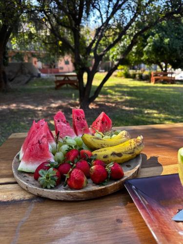 Garten, Verdi Lodge in Lusaka