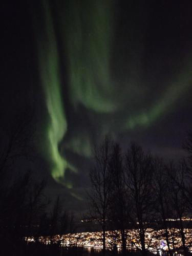 Modern villa in Tromsø, located between The Arctic Cathedral and The Cable Car