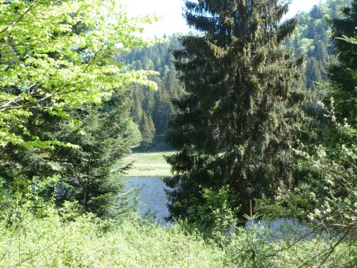 Auberge Des Hauts Viaux - image 8