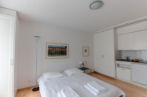Charming Studio in the old town - UZ9, Zúrich (foto 6)
