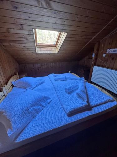 Rustic House, Bran (photo 8)