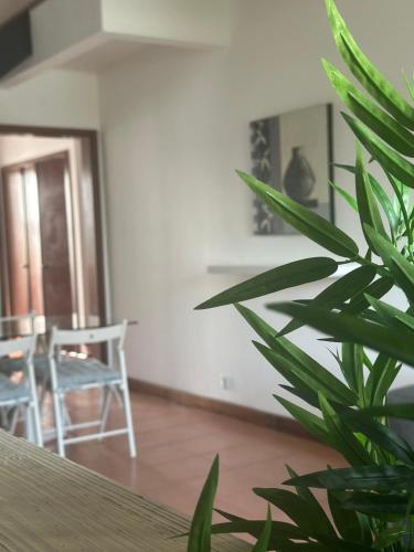 AZORES PEDRA APARTMENTS - T0 e T1 – khách sạn tại Sao Roque