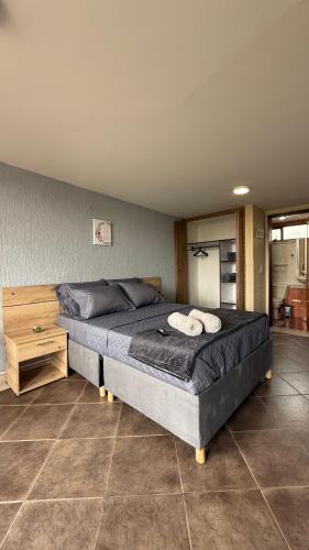Hostelfc Movistar57