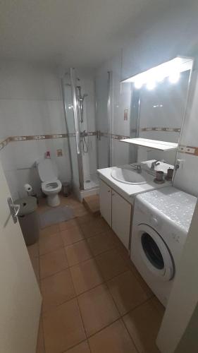 sprcha, "L'Ostal Daouan" Grand appartement 8 personnes proche La Mongie et Payolle in Campan