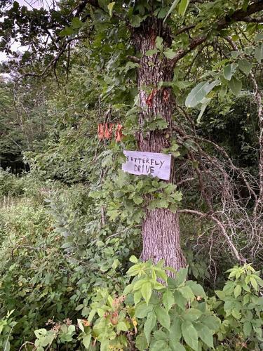 4K Ranch - 10 acre property & home near Hermann 4K Ranch - 10 acre property & home near Hermann