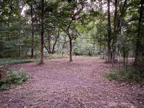 4K Ranch - 10 acre property & home near Hermann 4K Ranch - 10 acre property & home near Hermann