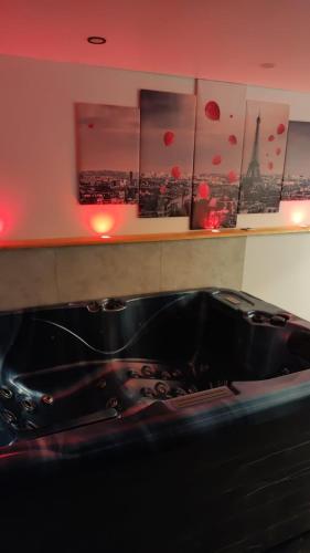 Chambre privée Cosy à proximité de Roissy, Parc Astérix 2