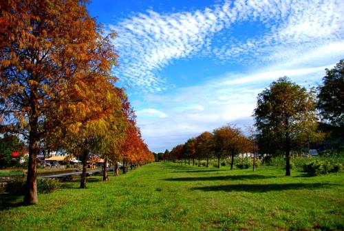 宜兰明水露渡假民宿