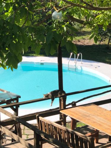 CASA VACANZE per Famiglie Agriturismo Montepolo gîte à louer San Cristoforo de Valli