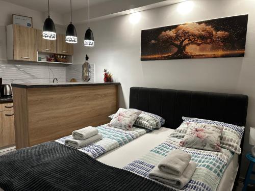Cozy studio Cik-Cak, Doboj