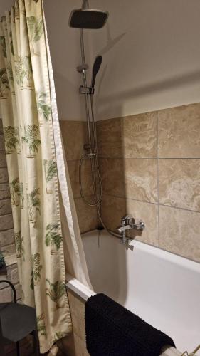 Apartment im Wikingturm - Panoramablick uber die Schlei in Schleswig