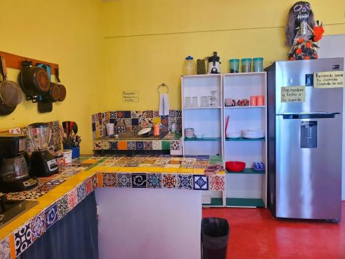 Anamaya Hostal in Xilitla, Mexico