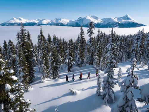 2BR plus den Ski in Ski out Condo with Pool and Hot Tub by Harmony Whistler, Whistler (foto 8)