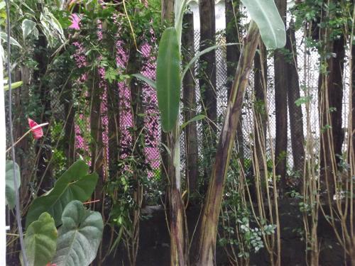 Sean bora praia Sean bora praia