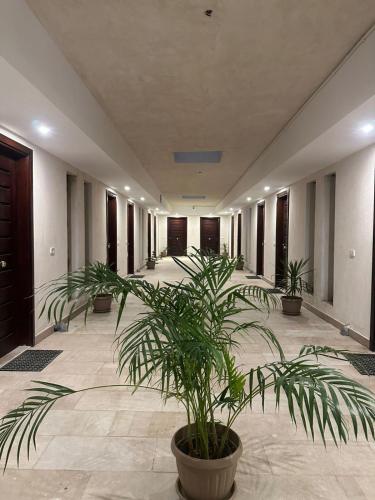 Vista exterior, Traveller Namma bay in Sharm el Sheik