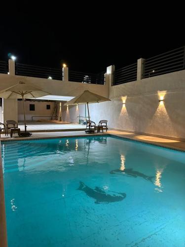 Úszómedence, Traveller Namma bay in Sharm El Sheikh