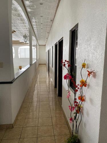 . Hotel las Canarias