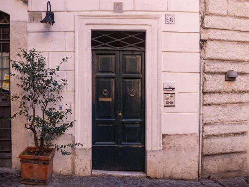 One-Bedroom Apartment image 10