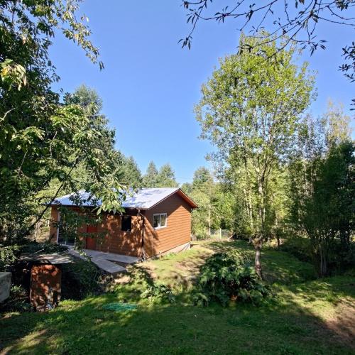 Cabin in Natural Forest