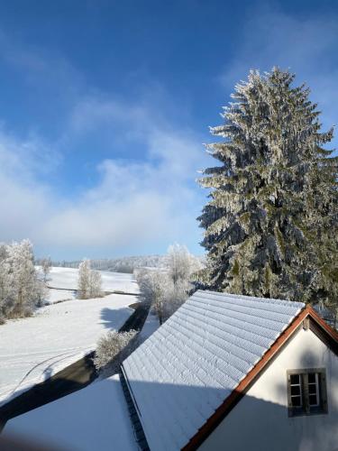Loft im Haus mit Geschichte in Mahring