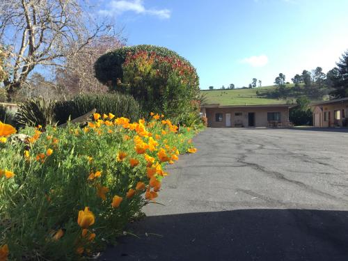 منظر, موتيل كامبريا بالمز (Cambria Palms Motel) in Cambria