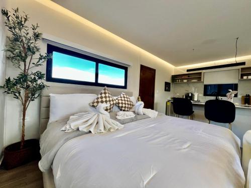 Sunset Studio in Palmira