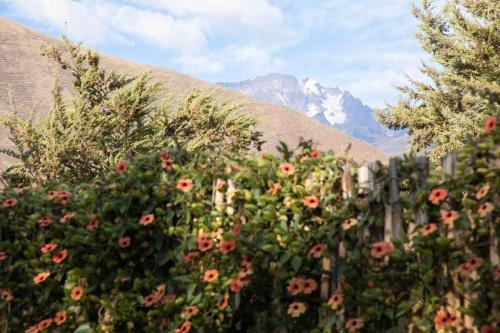 Stunning 1BR House in Camino Real