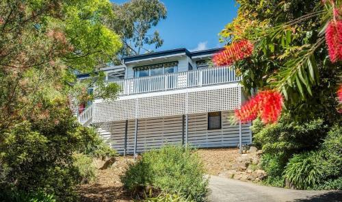 Escape to the Hills- Charming home with city views & close to the to the 1000 steps in Ferntree Gully