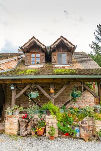 Pemandangan luar, Country House "Stricev grunt" Stara Kapela in Brodski Stupnik