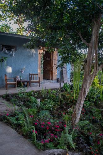 Bambu Hostel in Juayua