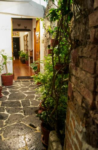 米卡斯塔酒店 米卡斯塔酒店