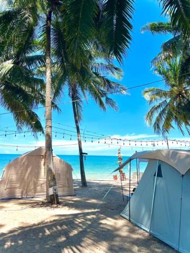 Naturist Beach Camping Private Beach Adult Only in ローン島