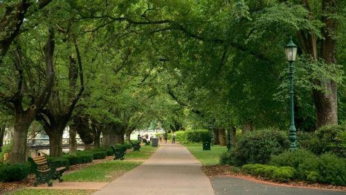 3BR Home 1km From Bendigo's CBD