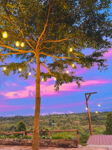 Garden, LakHill Farmstay in Buon Mhang