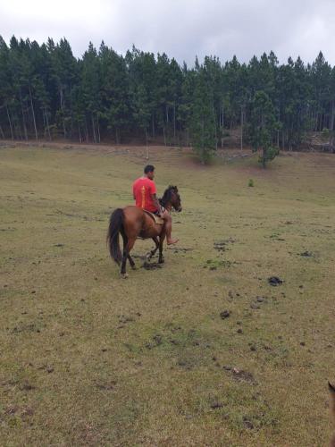HeiAki Lodge Excursion Nukuhiva Chambre Hei in Marquesas Islands