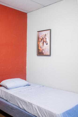 Bambu Hostel, Juayúa (fotografie 5)