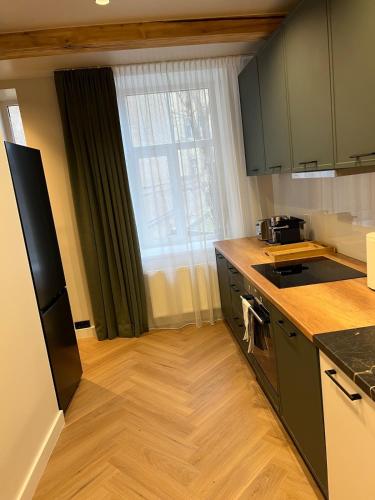 Cozy 2 -room Apartment in the center of Riga - Lacplesa, Riga (Foto 4)