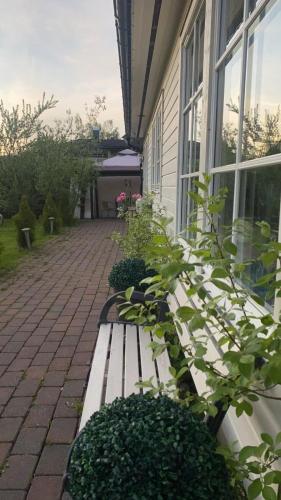 Hus leies ut i forbindelse med Ski VM 2025 Hus leies ut i forbindelse med Ski VM 2025