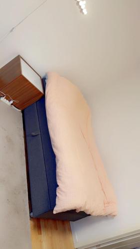 Hus leies ut i forbindelse med Ski VM 2025 Hus leies ut i forbindelse med Ski VM 2025