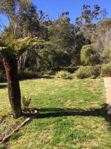Omgivelser, Seven Sisters Escarpment Views in Medlow Bath