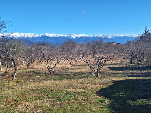 Kilátás, Guest house of gnomes in Akhmeta