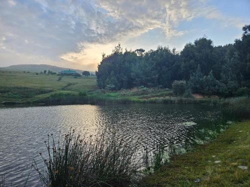 Skats, Kwaggaskop Game Farm - near Dullstroom in Mačadodorpa